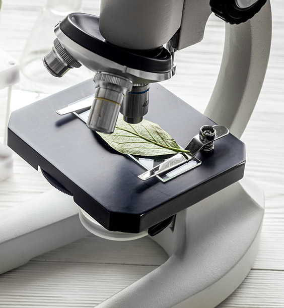 Microscope